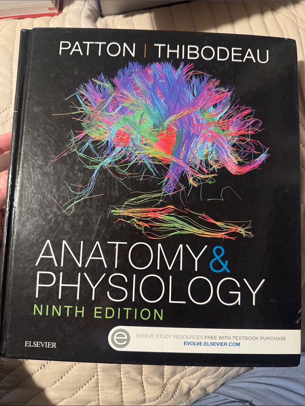 Anatomy and physiology Patton thibodeau